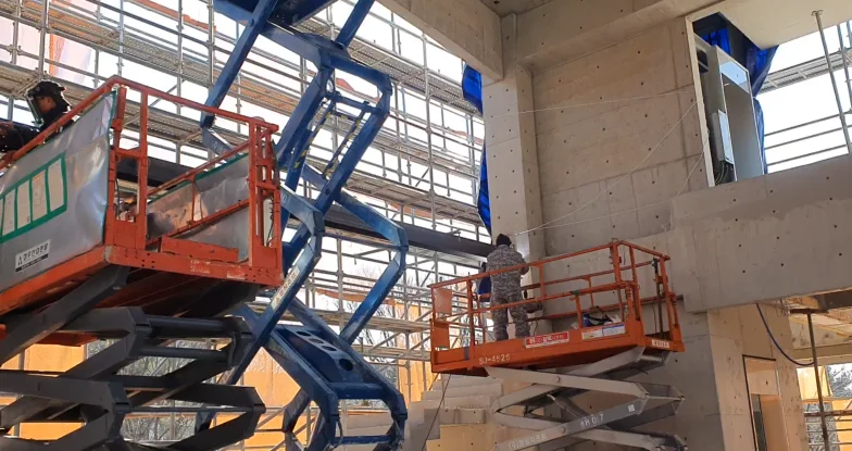 Multiwax W445 vs 일반 파라핀, 뭐가 다를까?